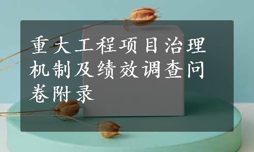 重大工程项目治理机制及绩效调查问卷附录