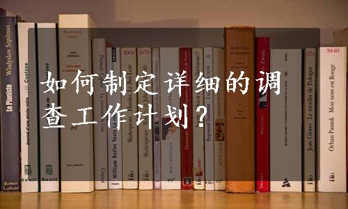 如何制定详细的调查工作计划？