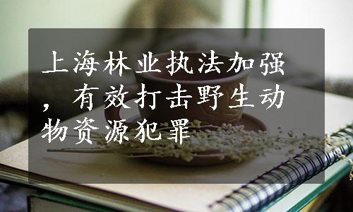 上海林业执法加强，有效打击野生动物资源犯罪