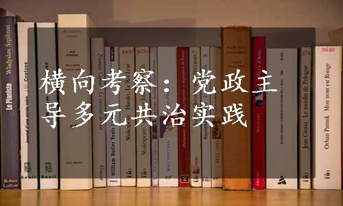 横向考察：党政主导多元共治实践