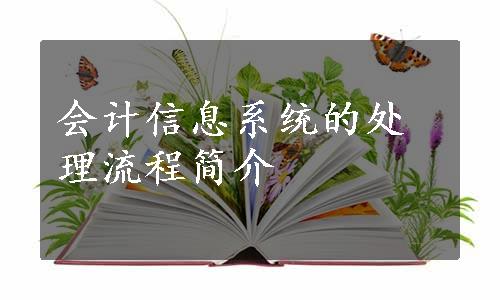 会计信息系统的处理流程简介