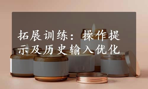 拓展训练：操作提示及历史输入优化