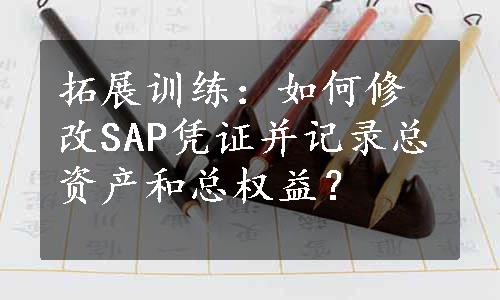 拓展训练：如何修改SAP凭证并记录总资产和总权益？