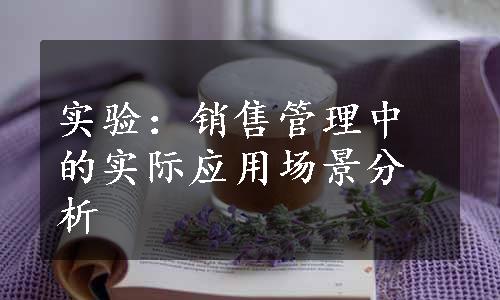 实验：销售管理中的实际应用场景分析