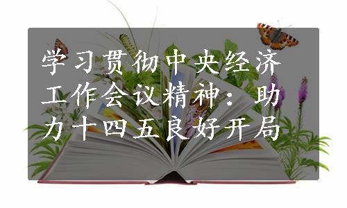 学习贯彻中央经济工作会议精神：助力十四五良好开局