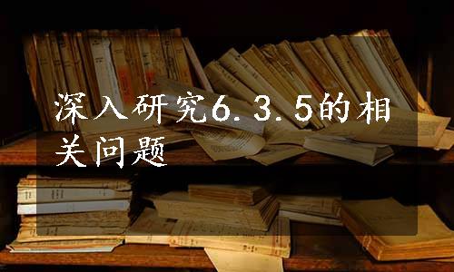 深入研究6.3.5的相关问题