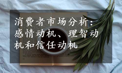 消费者市场分析：感情动机、理智动机和信任动机