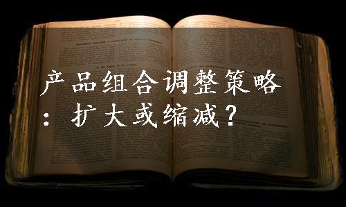 产品组合调整策略：扩大或缩减？