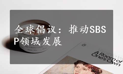 全球倡议：推动SBSP领域发展