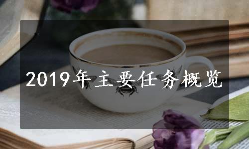 2019年主要任务概览