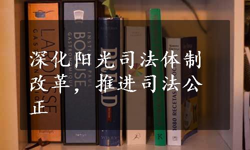 深化阳光司法体制改革，推进司法公正