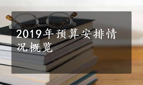 2019年预算安排情况概览