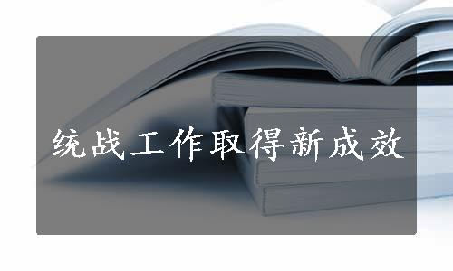 统战工作取得新成效