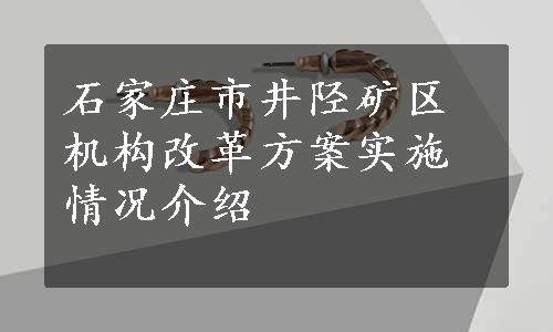 石家庄市井陉矿区机构改革方案实施情况介绍