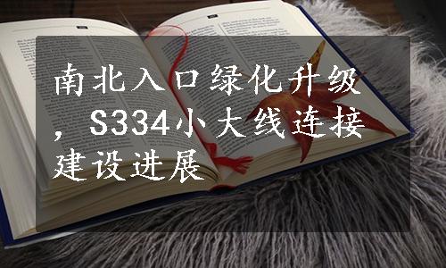 南北入口绿化升级，S334小大线连接建设进展