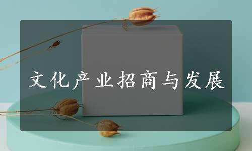 文化产业招商与发展