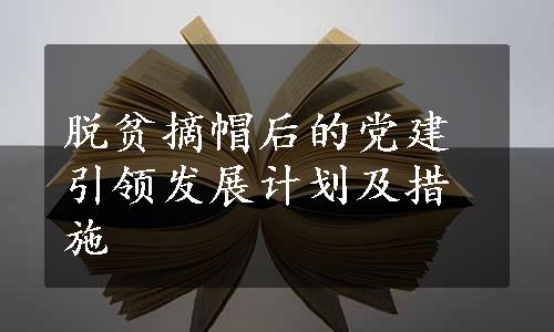 脱贫摘帽后的党建引领发展计划及措施