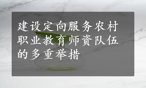 建设定向服务农村职业教育师资队伍的多重举措