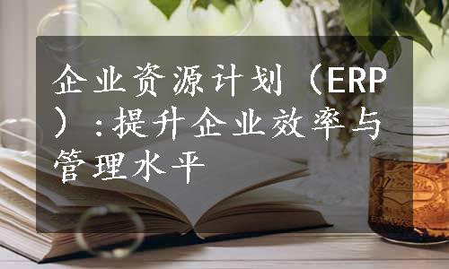 企业资源计划（ERP）:提升企业效率与管理水平