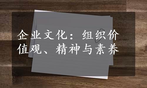 企业文化：组织价值观、精神与素养