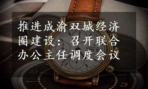 推进成渝双城经济圈建设：召开联合办公主任调度会议