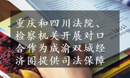 重庆和四川法院、检察机关开展对口合作为成渝双城经济圈提供司法保障