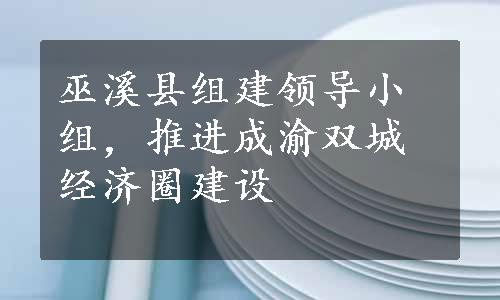 巫溪县组建领导小组，推进成渝双城经济圈建设