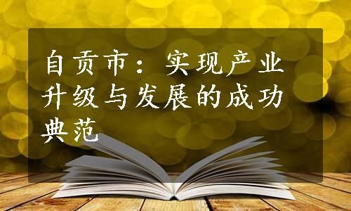 自贡市：实现产业升级与发展的成功典范