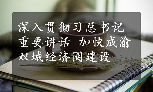 深入贯彻习总书记重要讲话 加快成渝双城经济圈建设