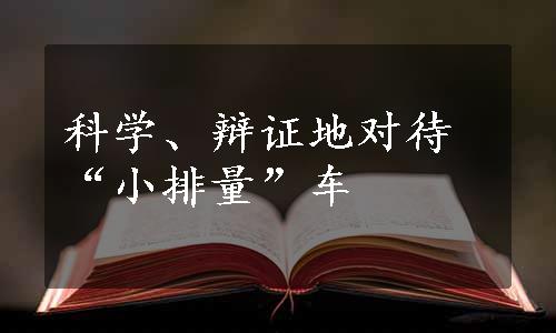 科学、辩证地对待“小排量”车