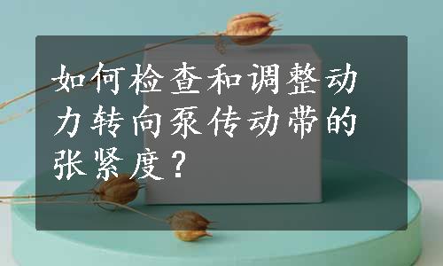 如何检查和调整动力转向泵传动带的张紧度？