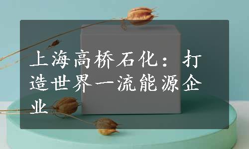 上海高桥石化：打造世界一流能源企业