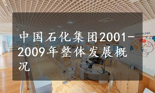 中国石化集团2001-2009年整体发展概况