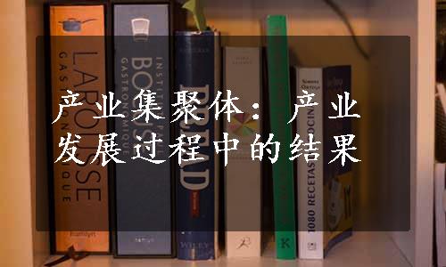 产业集聚体：产业发展过程中的结果