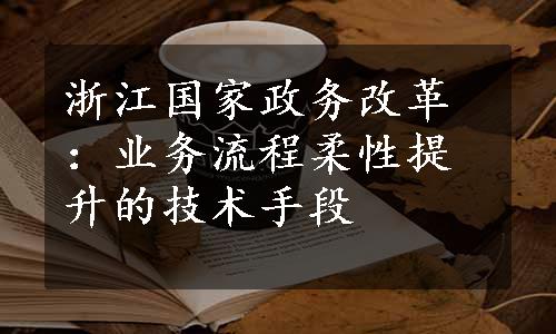 浙江国家政务改革：业务流程柔性提升的技术手段