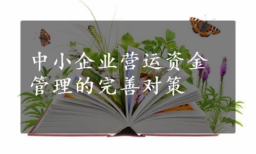 中小企业营运资金管理的完善对策