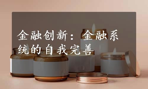 金融创新：金融系统的自我完善