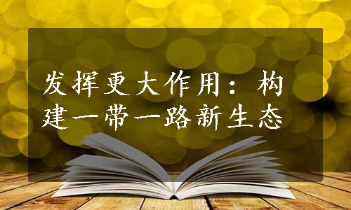 发挥更大作用：构建一带一路新生态