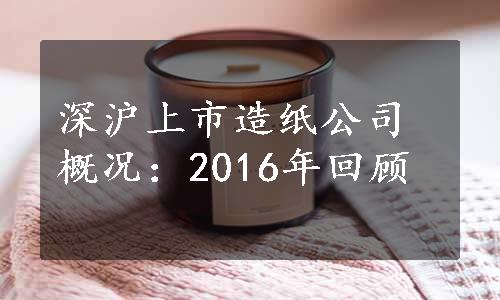 深沪上市造纸公司概况：2016年回顾