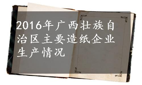 2016年广西壮族自治区主要造纸企业生产情况