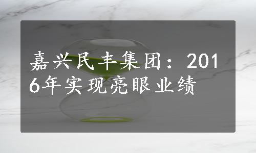 嘉兴民丰集团：2016年实现亮眼业绩