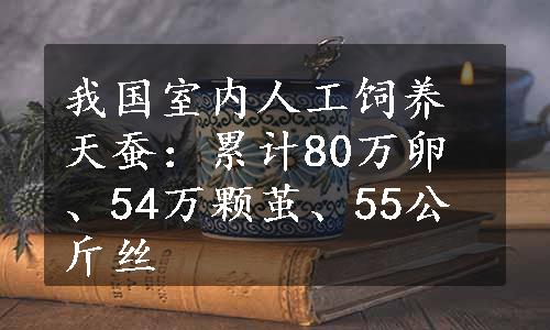 我国室内人工饲养天蚕：累计80万卵、54万颗茧、55公斤丝