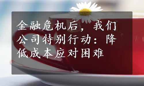 金融危机后，我们公司特别行动：降低成本应对困难