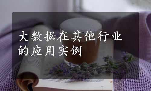 大数据在其他行业的应用实例