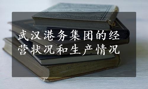 武汉港务集团的经营状况和生产情况