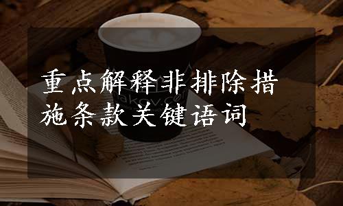 重点解释非排除措施条款关键语词