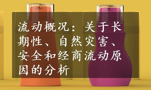 流动概况：关于长期性、自然灾害、安全和经商流动原因的分析