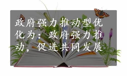 政府强力推动型优化为：政府强力推动，促进共同发展