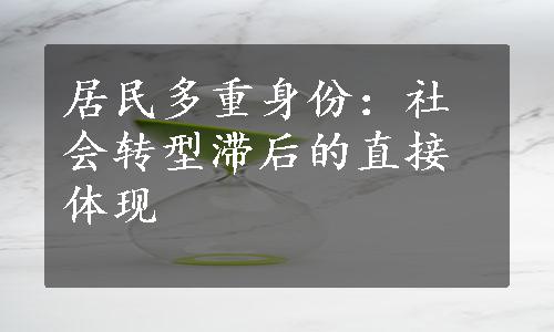 居民多重身份：社会转型滞后的直接体现