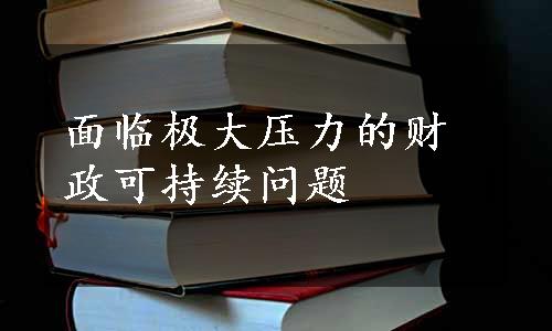 面临极大压力的财政可持续问题